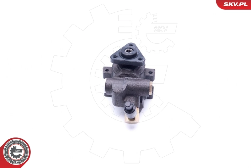 Hydraulic Pump, steering